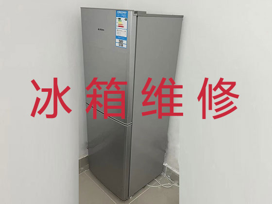 上海维修冰箱